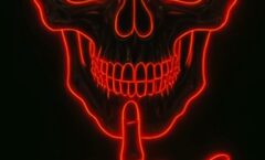 Top 5 Cashback Credit Cards 2025: Unlock Maximum Savings – Discover Your Ideal Card Today