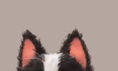 Best Investments in August 2025