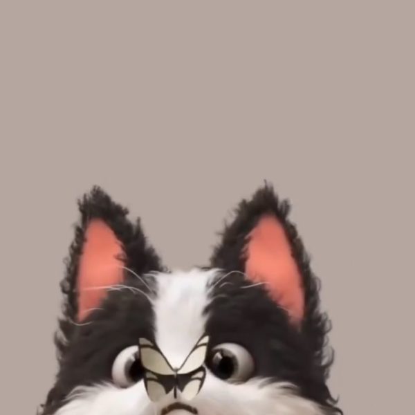 10 Best Investments in August 2025: Reliable Options for Growing Your Wealth